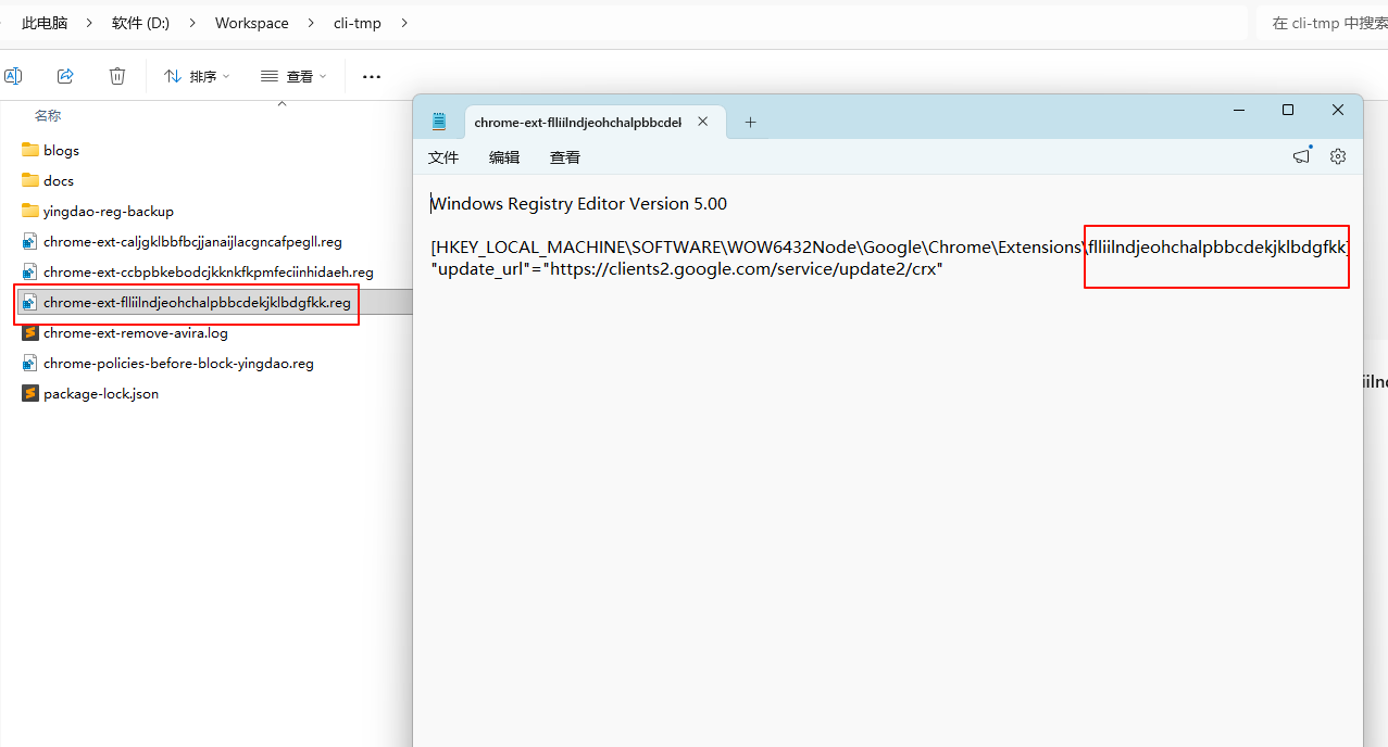 截图占位：Avira 注册表项或备份文件